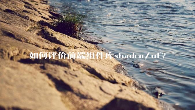 如何评价前端组件库shadcn/ui?